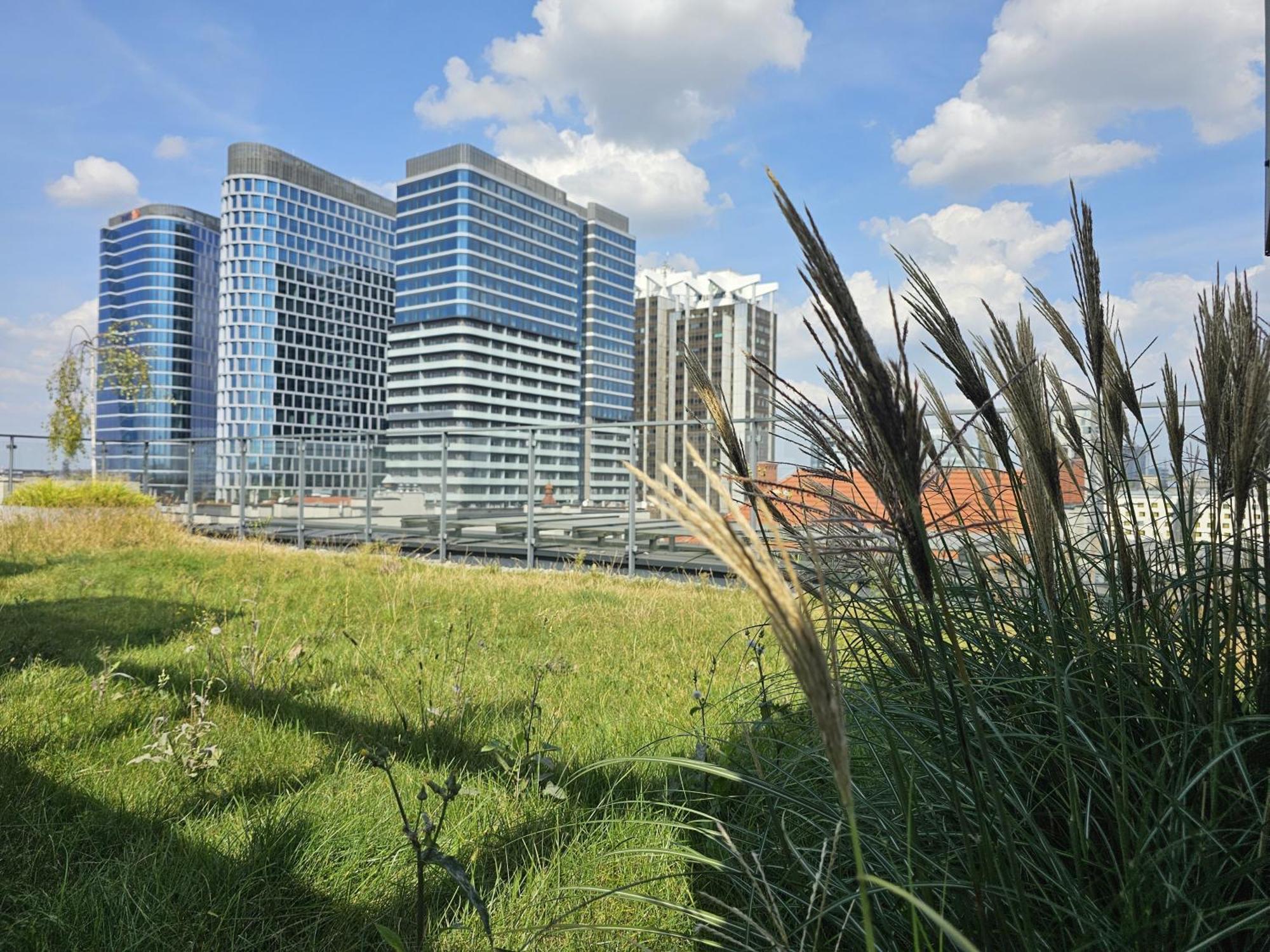 Urban Apartments Premium, Opolska 10 No 77A, Free Garage, Self Check-In Katowice Esterno foto